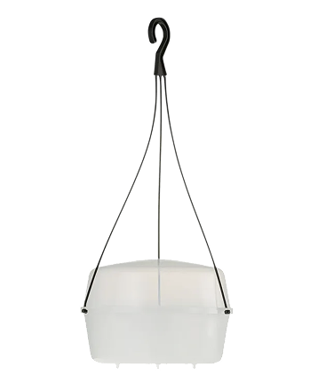 Wasp & Yellow Jacket Traps