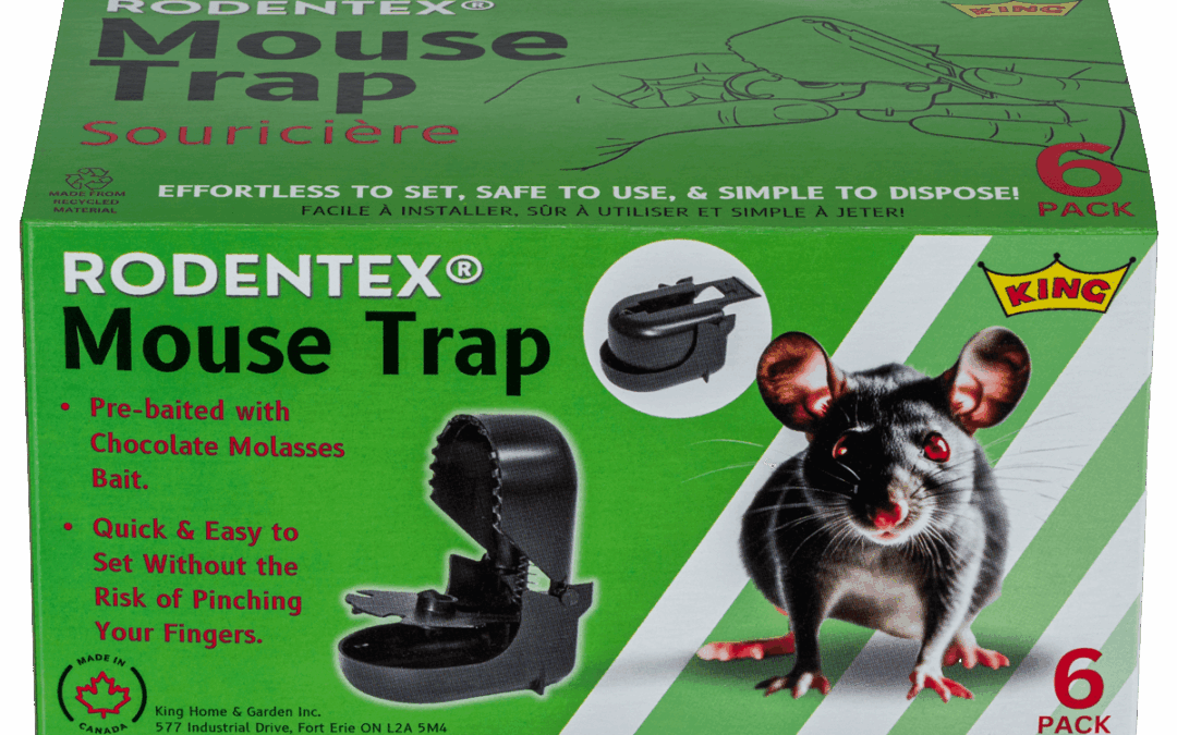 Baited mouse traps